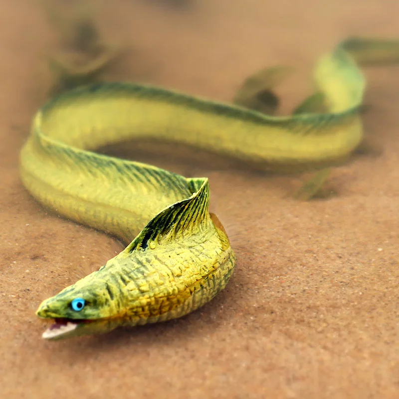 

22CM Children's marine biological model simulation eel electric eel eels model plastic solid ornaments underwater animal toys