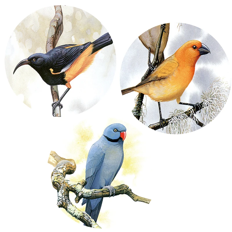 Птица Милые Холст Картина Печать Животное Северная Минималистичная Эстетика Настенное Искусство Постер Картины Декор Дом Бесплатная Доставка на.