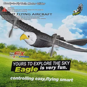 RC Plane FX-651 405mm Wingspan Eagle Aircraft 2.4G Radio Control Remote Control Hobby Glider Airplan