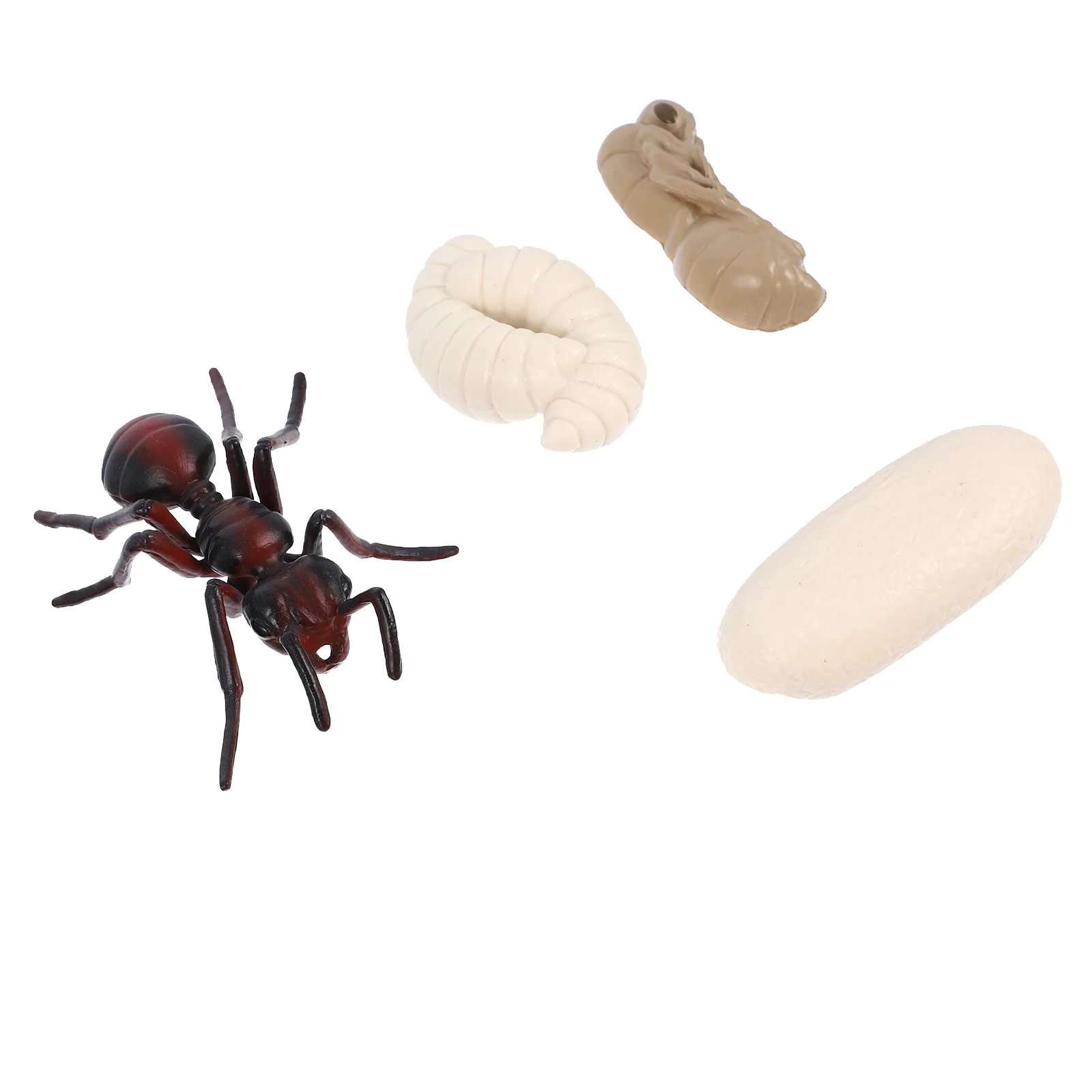 

1 Set/4pcs Imitation Red Ant Life Cycle Figurine Funny Kids Cognitive Toy Model
