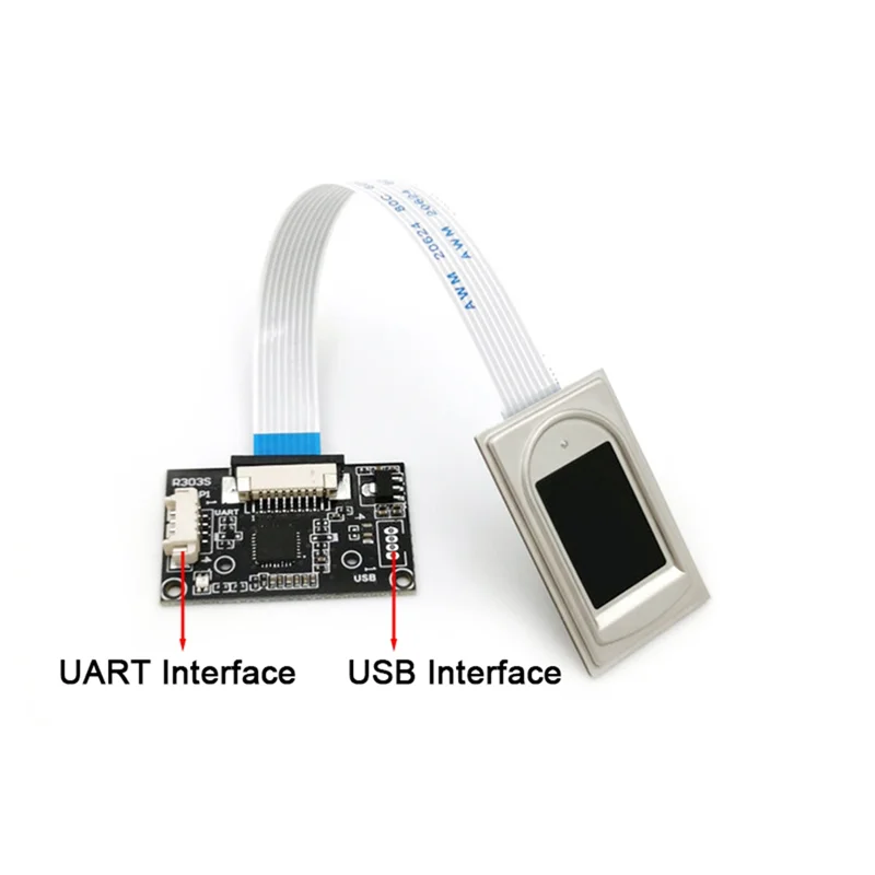 

R304S 208X288 Pixel Fingerprint Module Scanner Reader Free SDK with 1000 Capacity for Windows