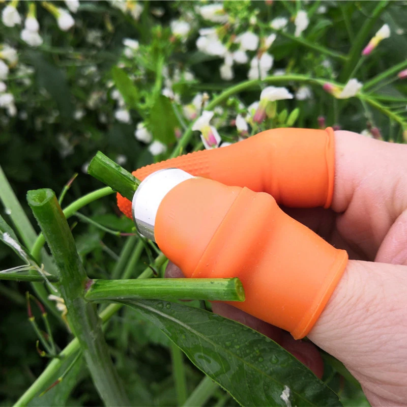 

Finger Protector Silicone Thumb Knife Protector Gears Cutting Vegetable Harvesting Knife Pinching Plant Blade Scissors Gloves
