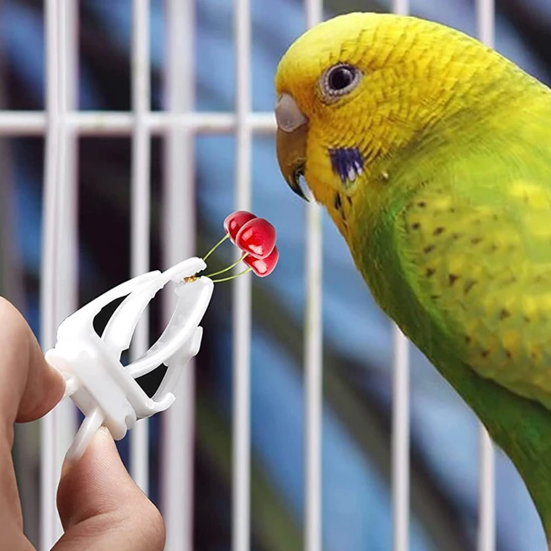 6 шт. держатель для корма маленьких домашних животных попугай фрукты овощи зажим