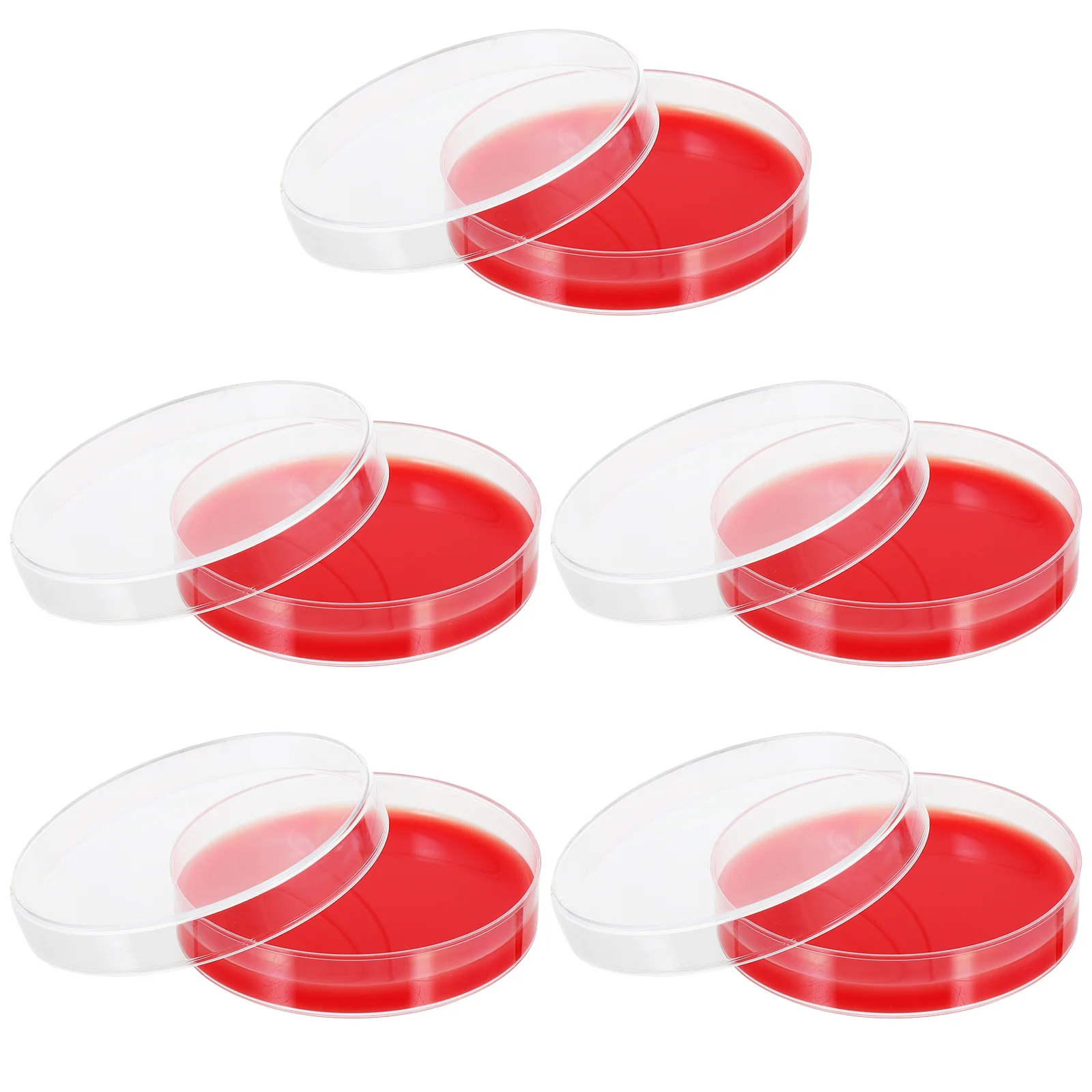 

Agar Petri Dishes Plates Medium Plate Dishwith Culture Science Blood Sterile Growth Lids Project Prepourednutrient Mushroom