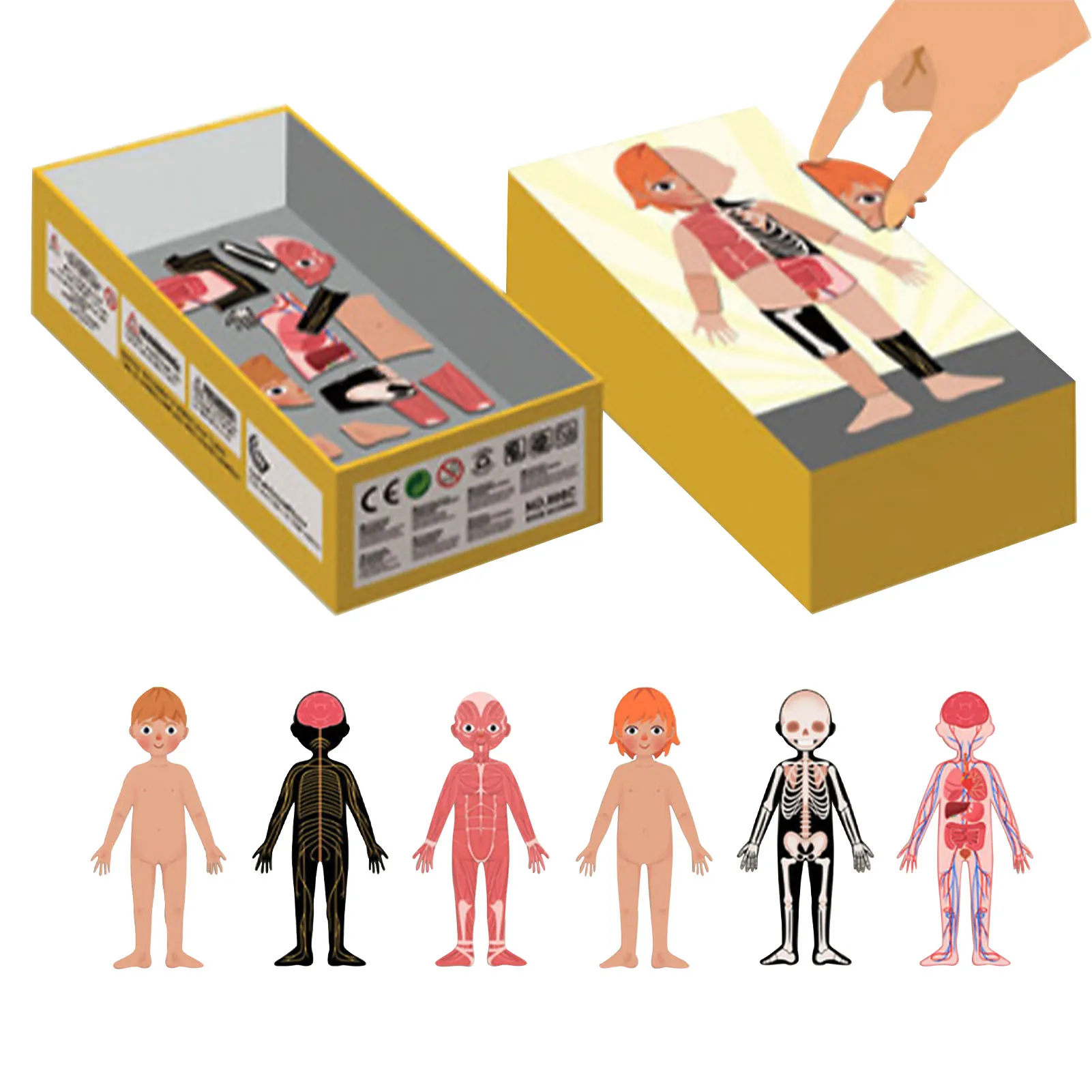 

Magnetic Human Body Cognitive Anatomy Playset DIY Puzzles Early Learning Educational Game Montessori Funny Gift For Children