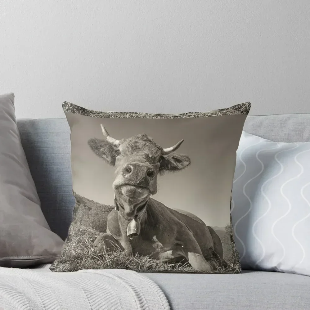 Диван Тарин. подушка с ромом_ 1150696 Декоративная для дивана наволочка