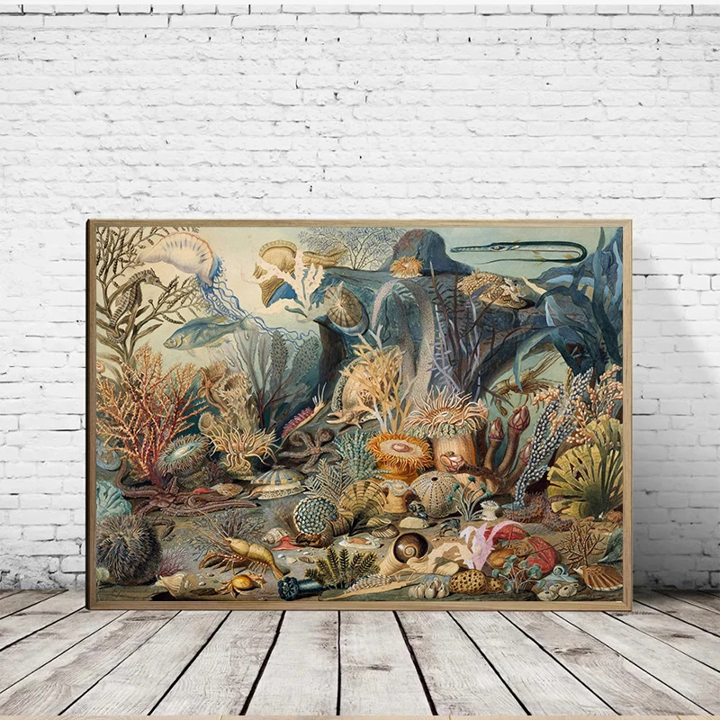 Антикварные морские животные Подводный ландшафт искусство биология морская