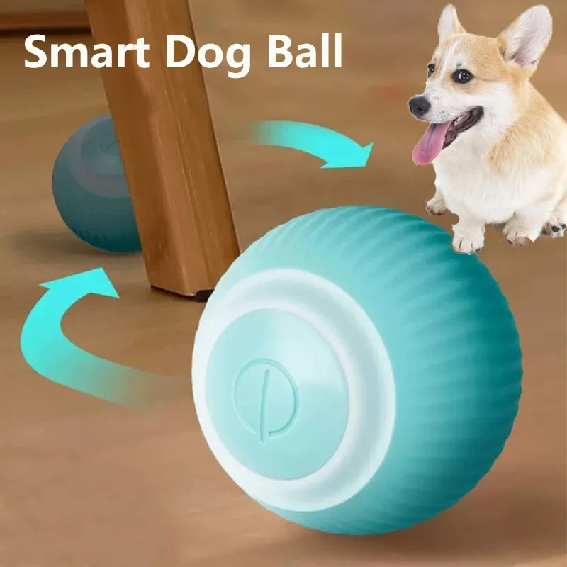 

Electric Ball Toys For Dogs Puppy Smart Dog Toys Funny Games Ball Auto Rolling Ball Self-moving Pet Accessories Toys Dog Indoor