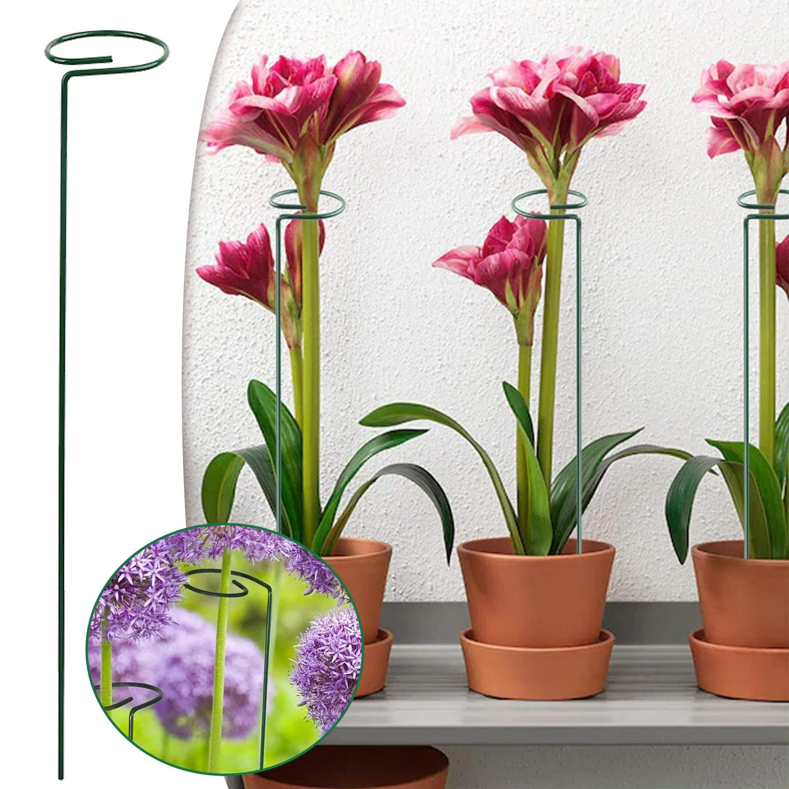 

Easel Clips Plant Support Stakes Garden Single Flower Stem Amarylliss Plant Cage For Orchid Lily Peony Rose Dark Green