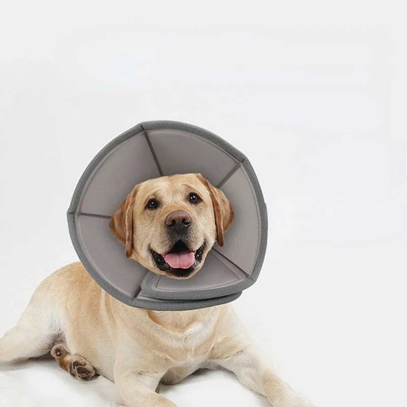 

New Generation Cat Dog Cone Collar Adjustable Protective After Surgery Prevent Pets From Bite Licking Scratching Touching Wound