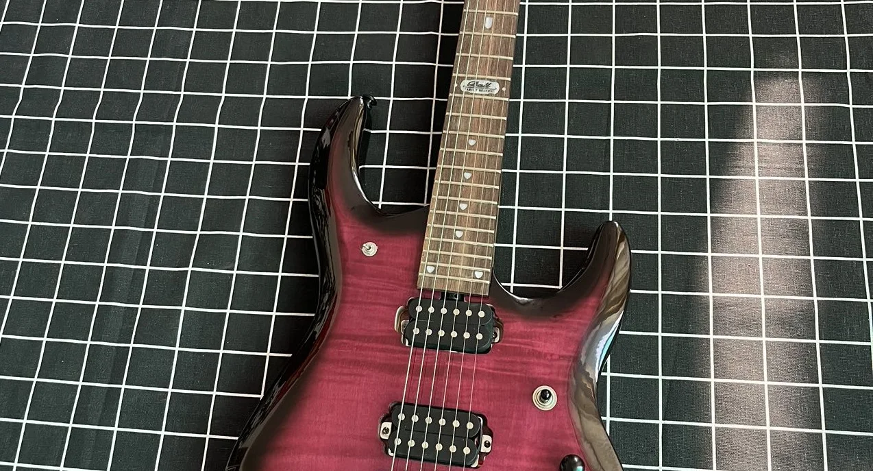 PRS Half Hollow Log Electric Guitar 6 Strings Stock Processing Professional Performance FASDFAS