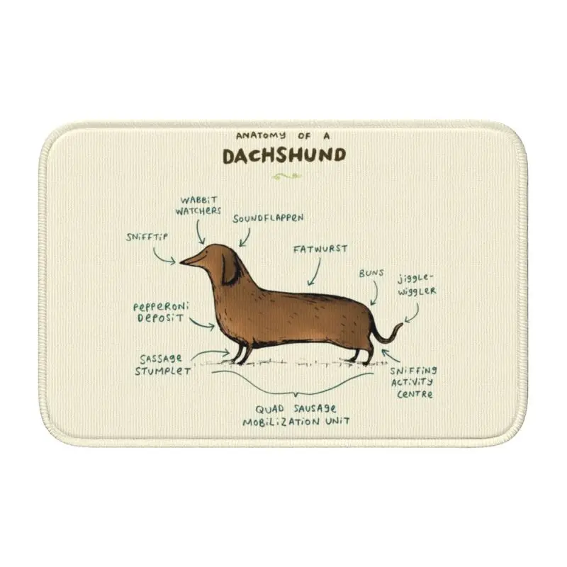 Персонализированный коврик в виде анатомии таксы противоскользящий из барсука