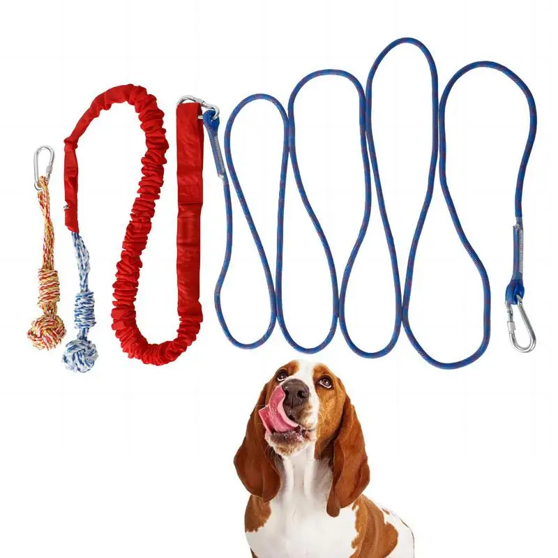

Spring Pole For Dogs Dog Rope Toys Pull & Tug Chew Toys Bite Resistant Interactive Sturdy Spring Pole For Outdoor Camping Indoor