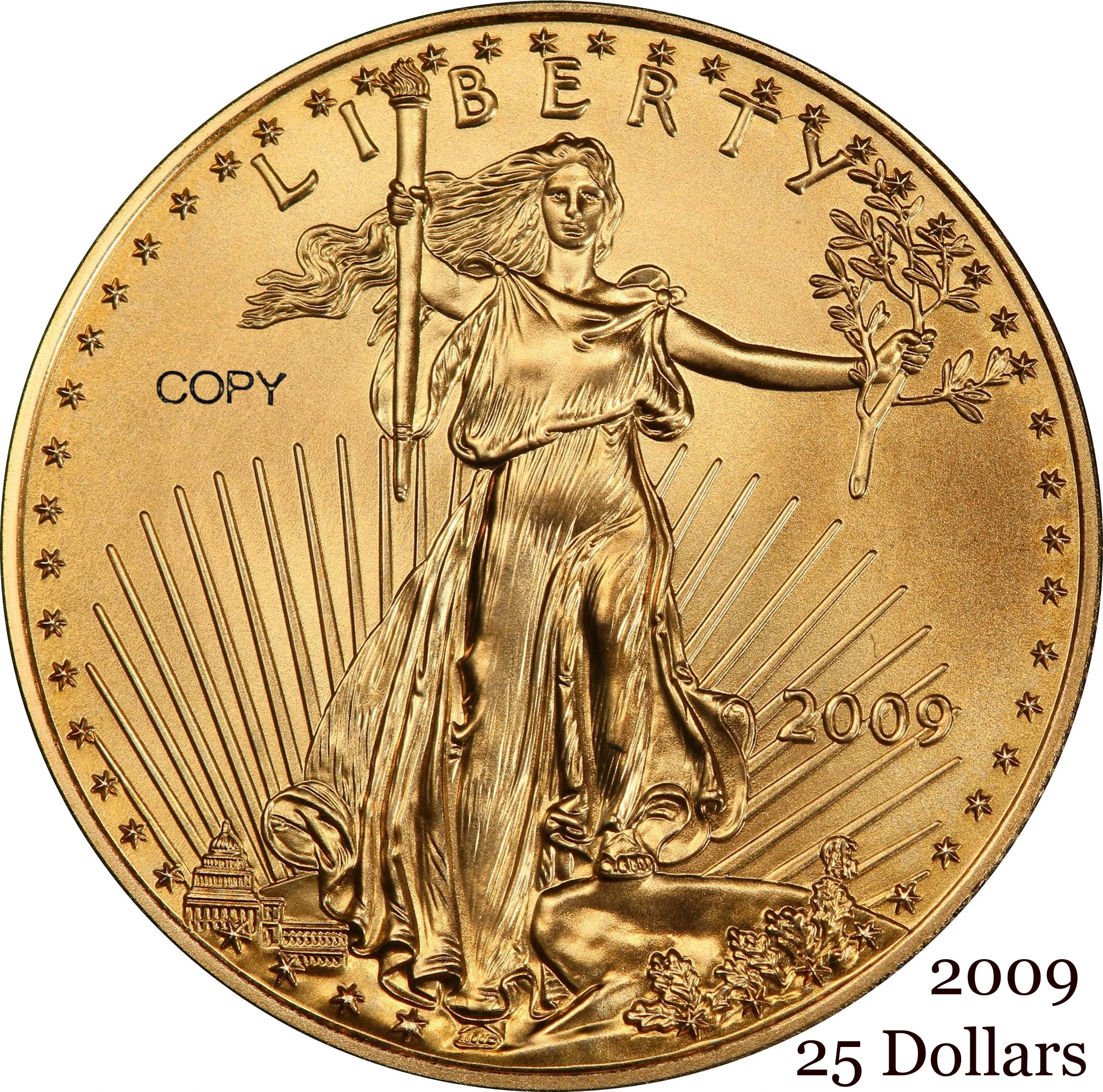 United States US 2009 $25 25 Dollars Half Ounce American Gold Eagle Bullion Coinage USA Liberty Brass Metal Copy Coin