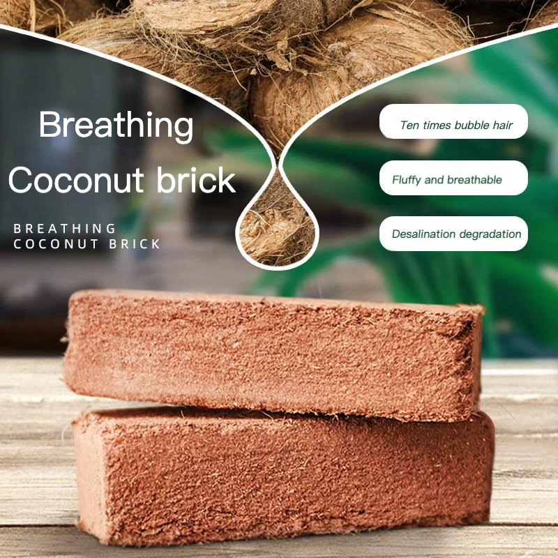 

Coconut Brick Nutrient Soil Coconut Shell Brick Vegetable Flower Planting Growth Soil For Garden Potted Seedlings