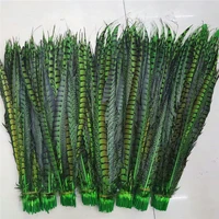 50pcslot pheasant feathers for crafts green 60 70inch24 28cm carnival home dancers christmas for diy decoration plumes