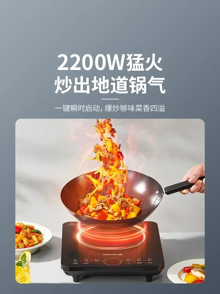 Бытовая индукционная плита. Многофункциональное приготовление и