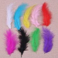 100pcslot marabou turkey feathers for decoration crafts feather carnaval party dream catcher accessories fly tying materials