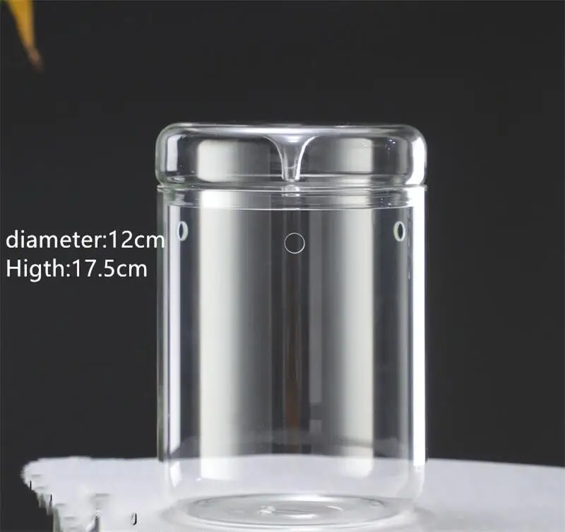 

Стеклянный горшок для мха