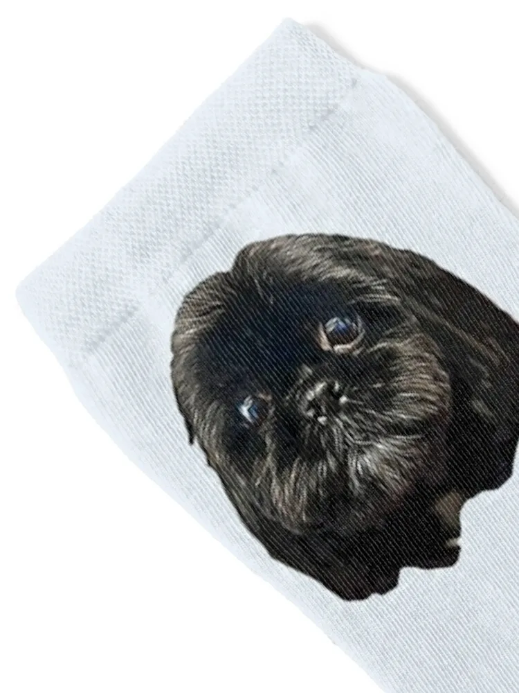 Черные носки для лица щенка ши-тцу