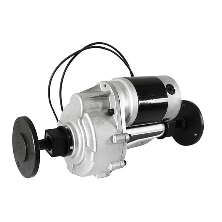 Для 24 В 800 Вт электрический двигатель постоянного тока коробки передач