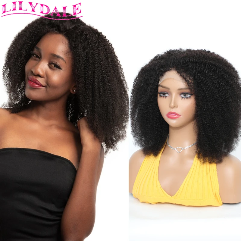 Afro Kinky Curly Closure Wig Lace Front Human Hair Wigs Bouncy Curly Human Hair For Weomen Pre Plucked With Baby Hair Lilydale