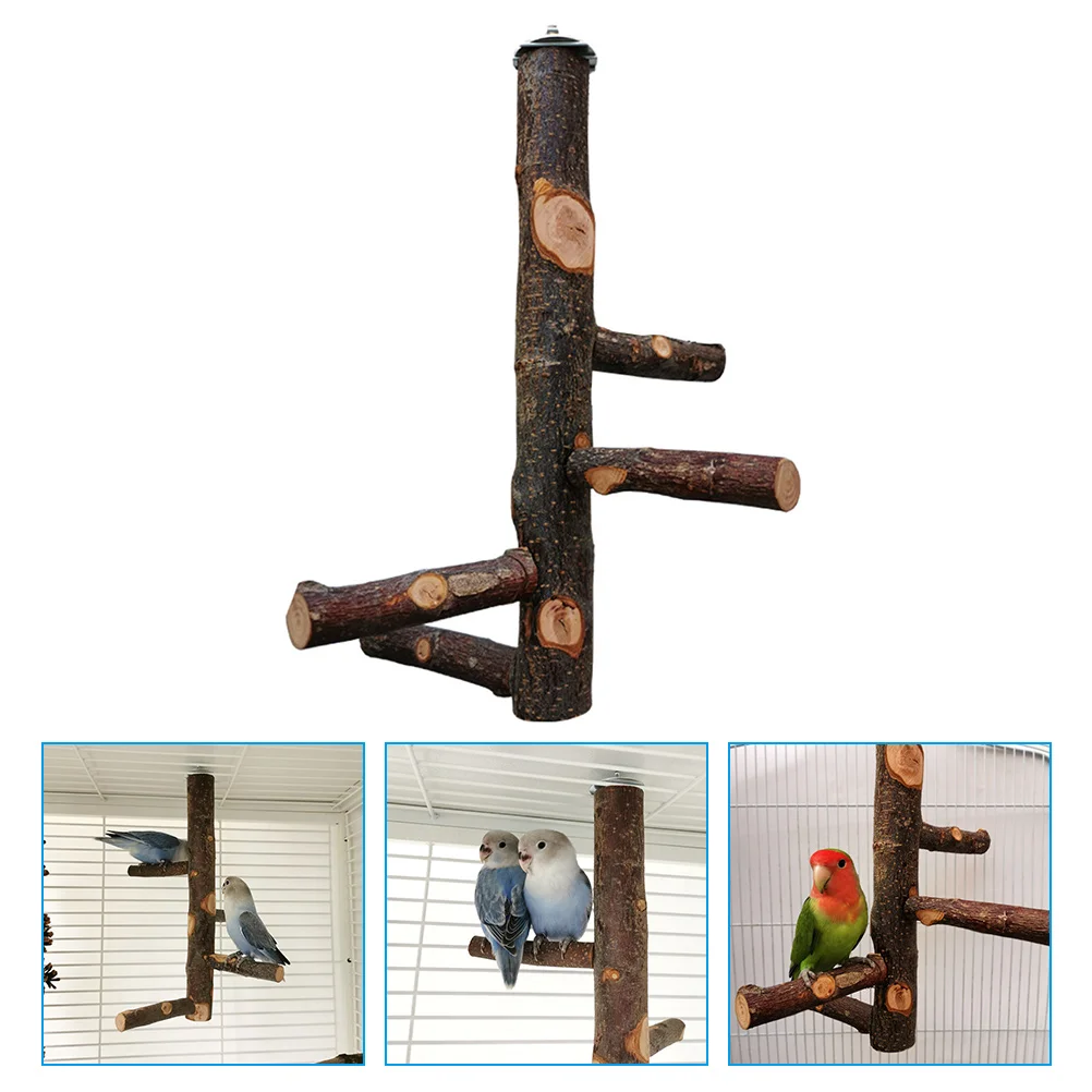 

Bird Standparrot Perch Parakeet Cage Trainaccessoriesbalance Training Supplies Stands Wood Standing Wooden