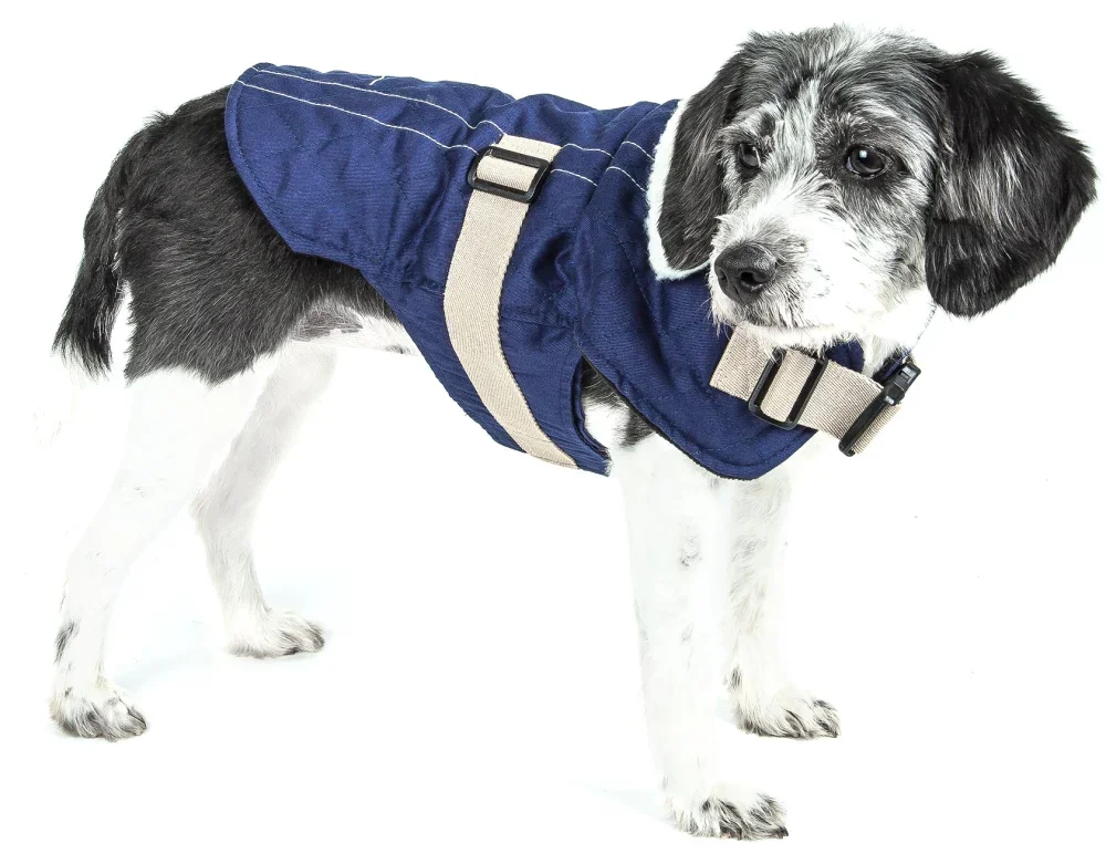 

Original Designer Fashion-Forward Dog Coat