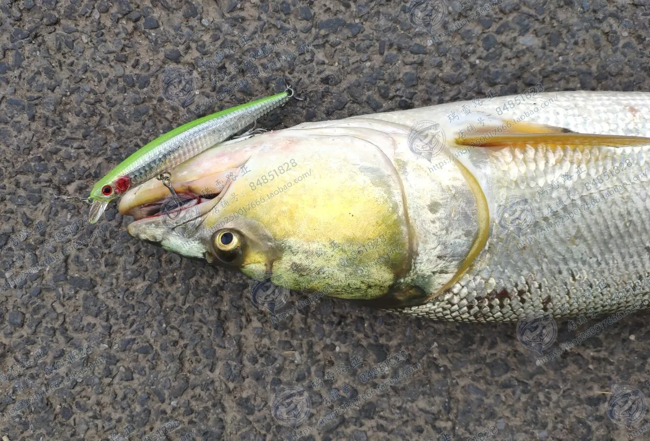 ZIPBAITS ZBL Япония 139F плавающий Mino 19,5 г Супер длинный бросок Тилапия бас дорога Subbait