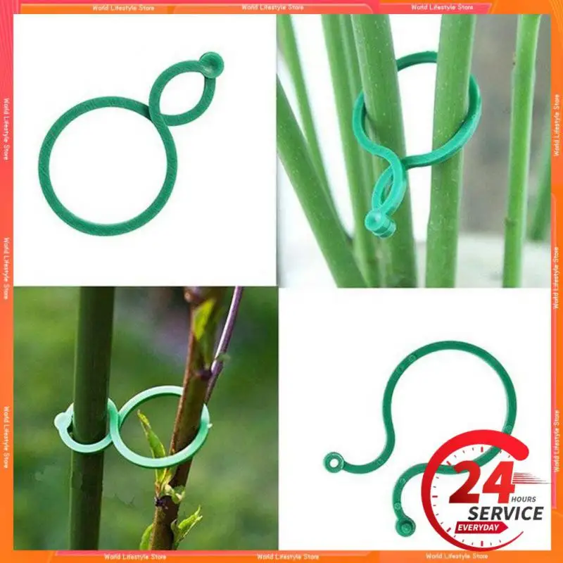 

Garden Vine Strapping Clips Fixed Fixture Vine Plant Wall Climbing Vine Clips Plastic Buckle Hook Hot Wall Self-adhesive Garden
