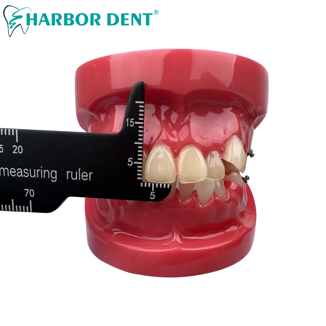 Стоматологическая измерительная линейка