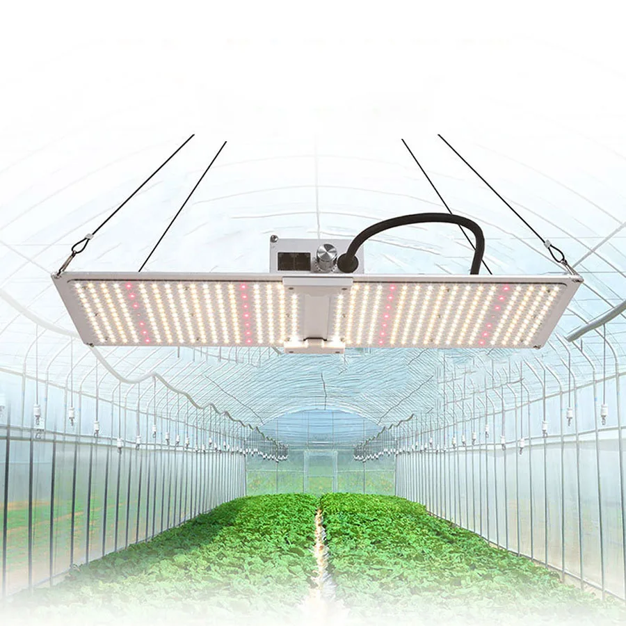 600W Samsung Full Spectrum LED Grow Light Quantum Sunlike Grow Lamp For Greenhouse Plant Growth Lighting