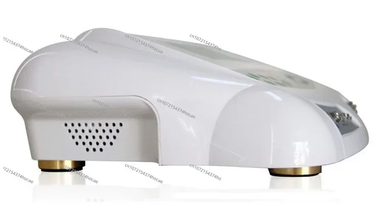 2024 новый двойной Детокс-аппарат ионное очищающее устройство для ног спа-ванны