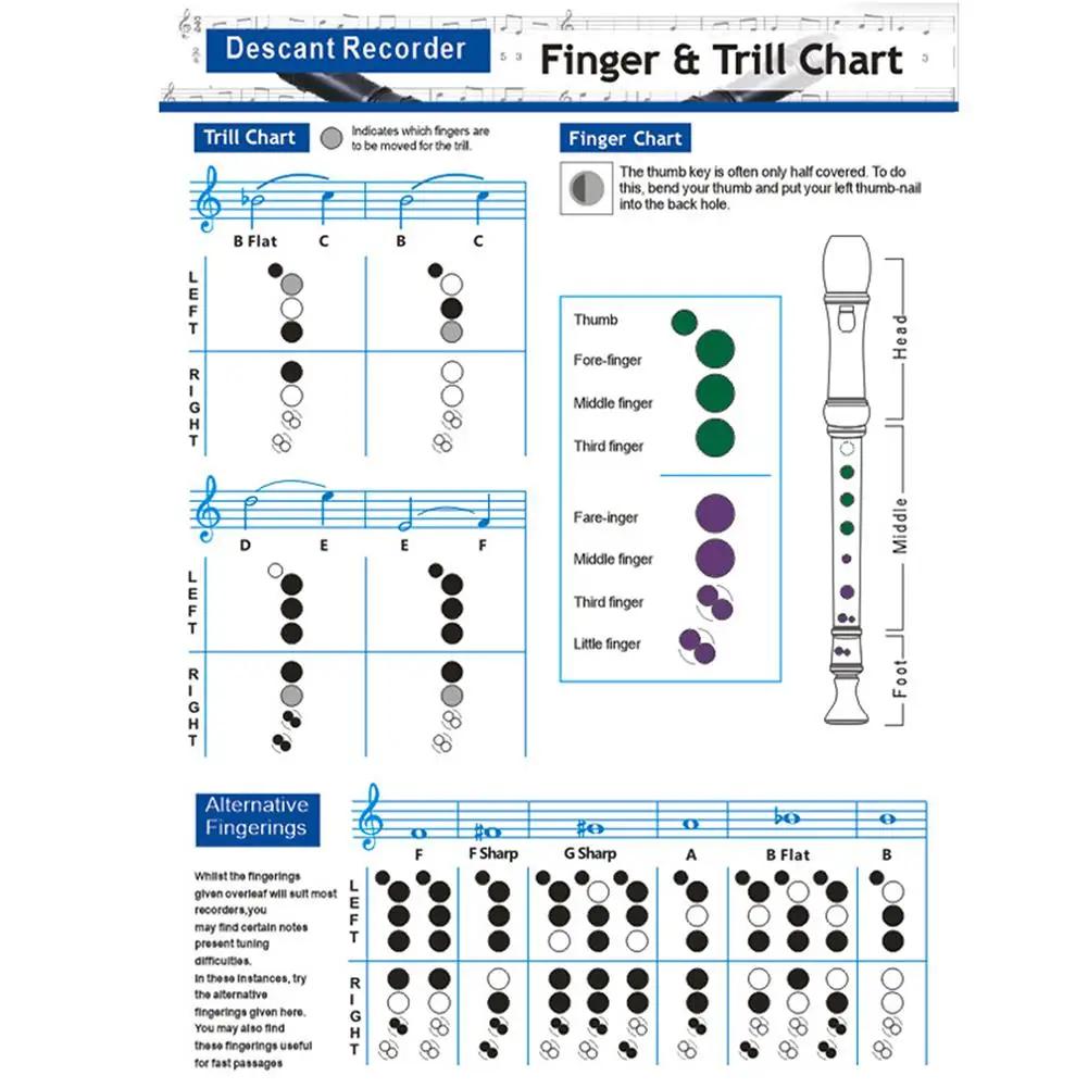 

Recorder Chords Scales Chart Master Recorder Chord Progressions Reference Poster Recorder Chords Theory Poster for Beginners Kid