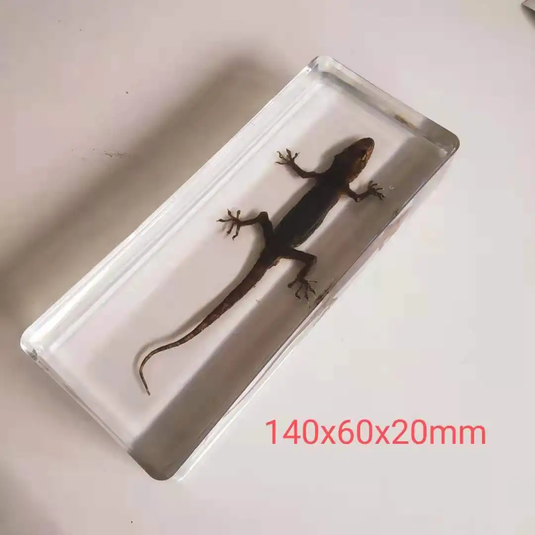 

Полимерная статуэтка насекомых