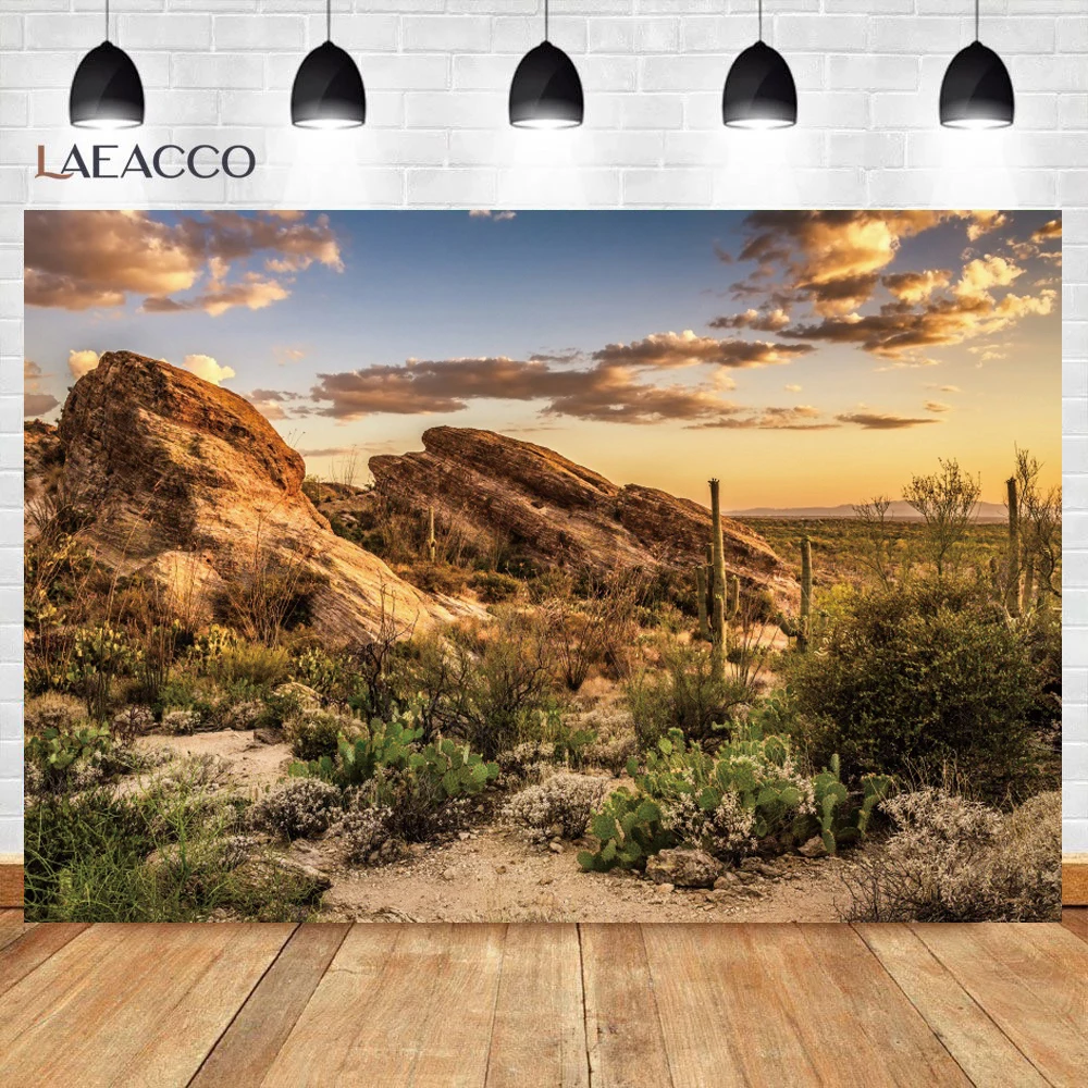 

Laeacco Nature Backgrounds Cactus Desert Sunset Shrub Stone Aurora Scenic Photographic Backdrops Photocall Photo Studio