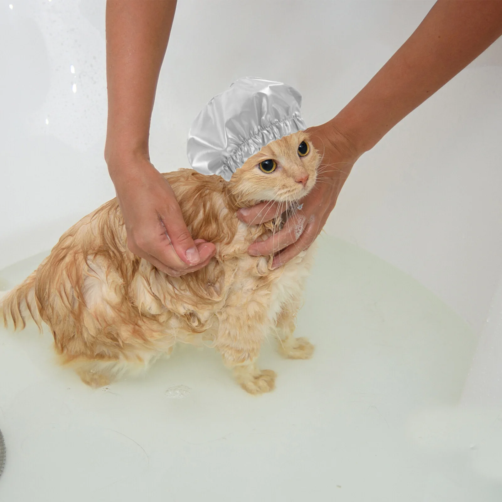 

Puppy Bathroom Dog Hat Cap Cat Shower Pet Indoor Supply Caps Hats Large Dogs Kitten Water Proof Hat Waterproof