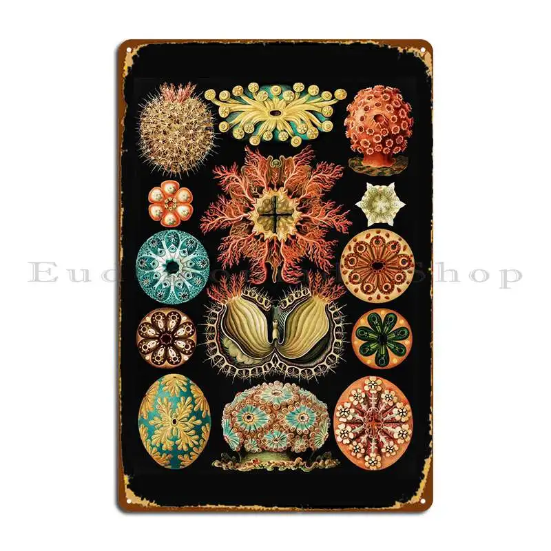 Винтажный оловянный металлический знак асцит морские сквирты картина на заказ