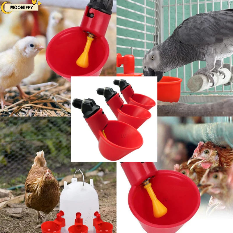 Automatic Chicken Drinking Cup Duck Goose Quail Feeder Plastic Poultry Waterer Drinking for Backyard Poultry Water Feeder