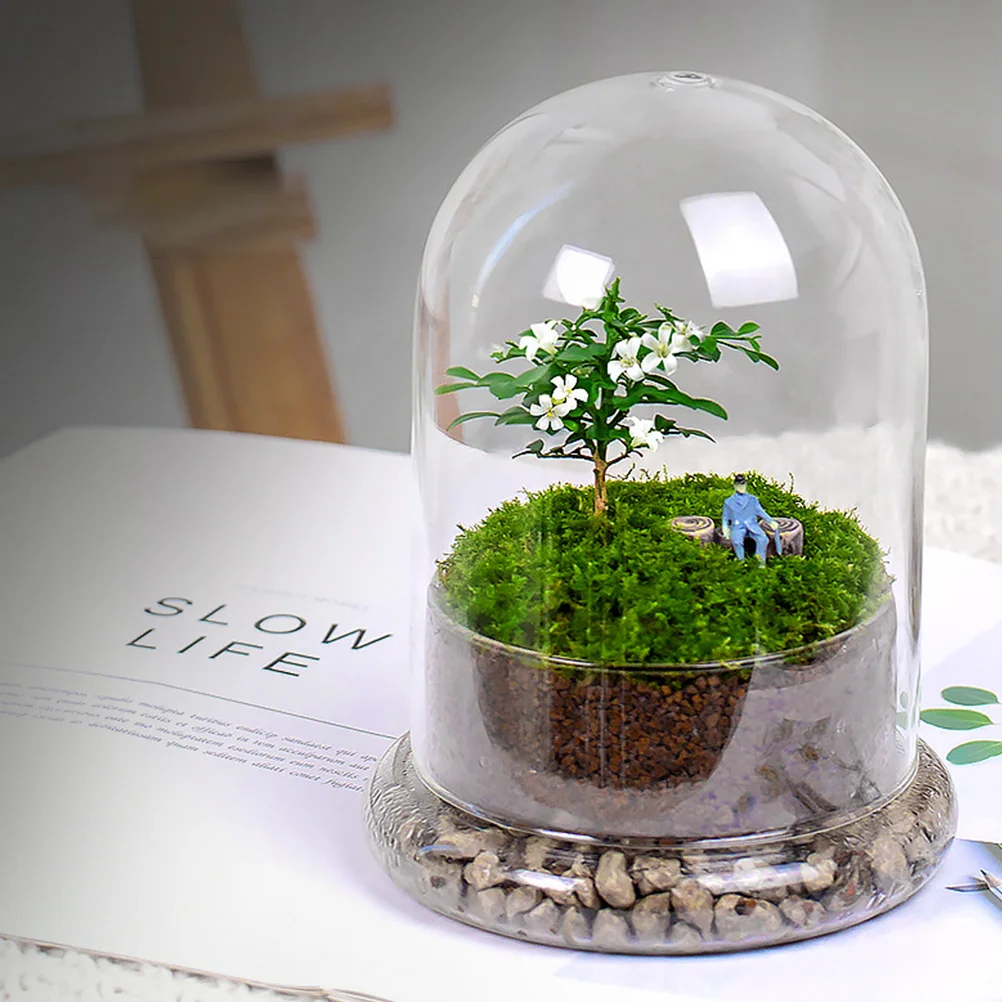 

Glass Bottle Lid Plants DIY Container Miniature Moss Terrarium Decorative Landscape Landscaping Bell Jar For Dome with base