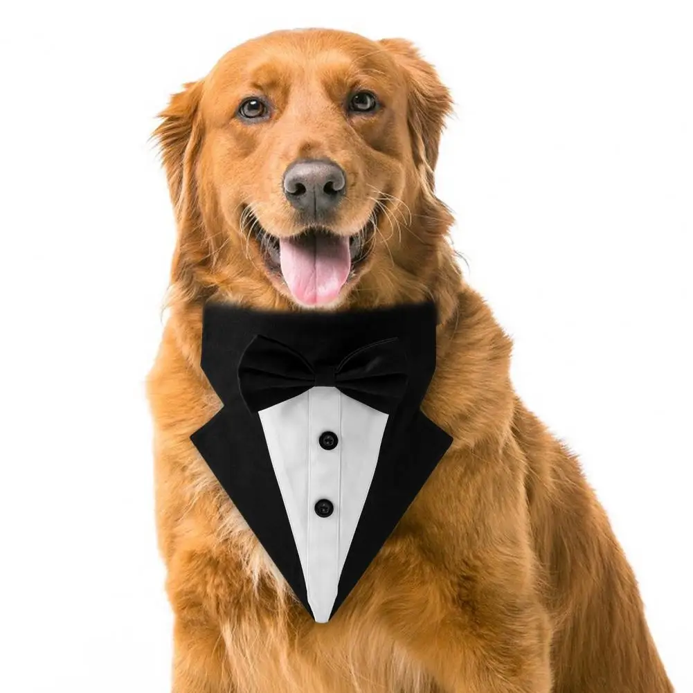 

Breathable Stylish Small Dog Saliva Bib Birthday Gift Costume Improve Ambience Puppy Scarf Adjustable Pet Accessories