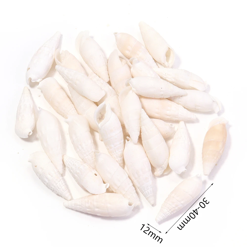 

Натуральные ракушки 40г