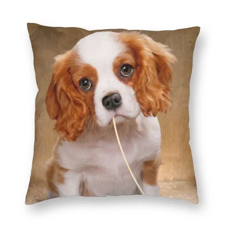 

Крутой квадратный чехол-наволочка для домашней декоративной подушки с принтом в виде собаки Карла спаниеля для гостиной