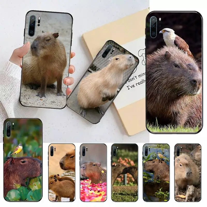 

Capybara animal cute Phone Case For Huawei honor Mate 10 20 30 40 i 9 8 pro x Lite P smart 2019 Y5 2018 nova 5t