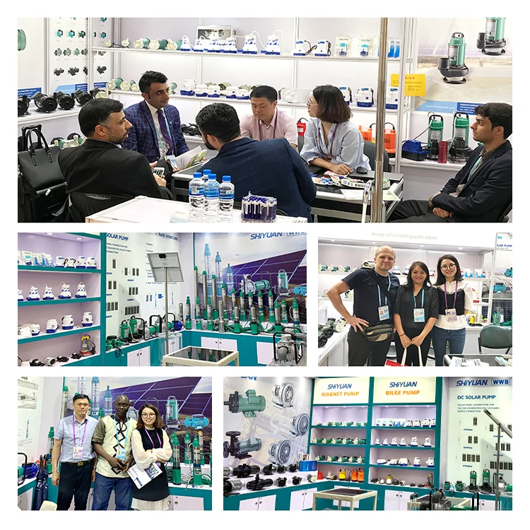 Производитель Shiyuan 220 В 100 Вт 50 Гц автоматические морские насосы для яхт