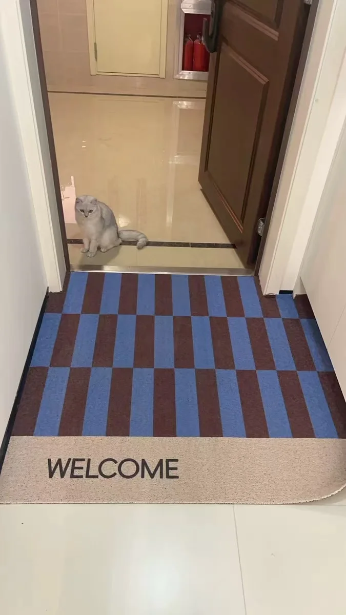 Alfombra antideslizante cocina sala estar felpudo largo terciopelo cristal alfombrillas absorbentes pies dormitorio