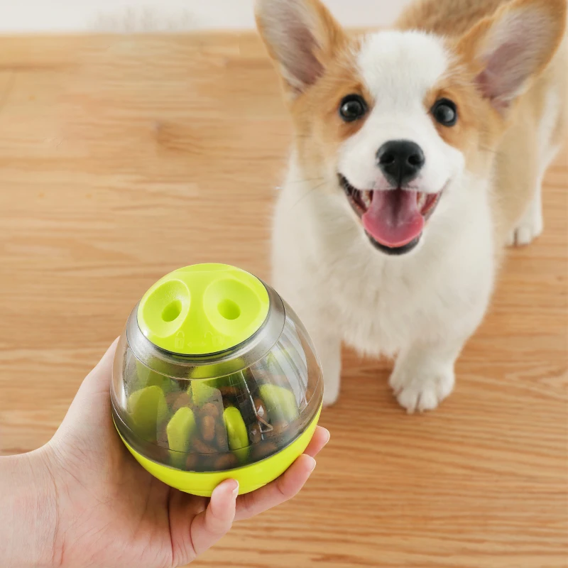 

Interactive Dog Cat IQ Treat Ball Pet Toy Feed Bowl Tumbler Food Dispenser for Dogs Puppy Kitty Training Balls Chew Accessories