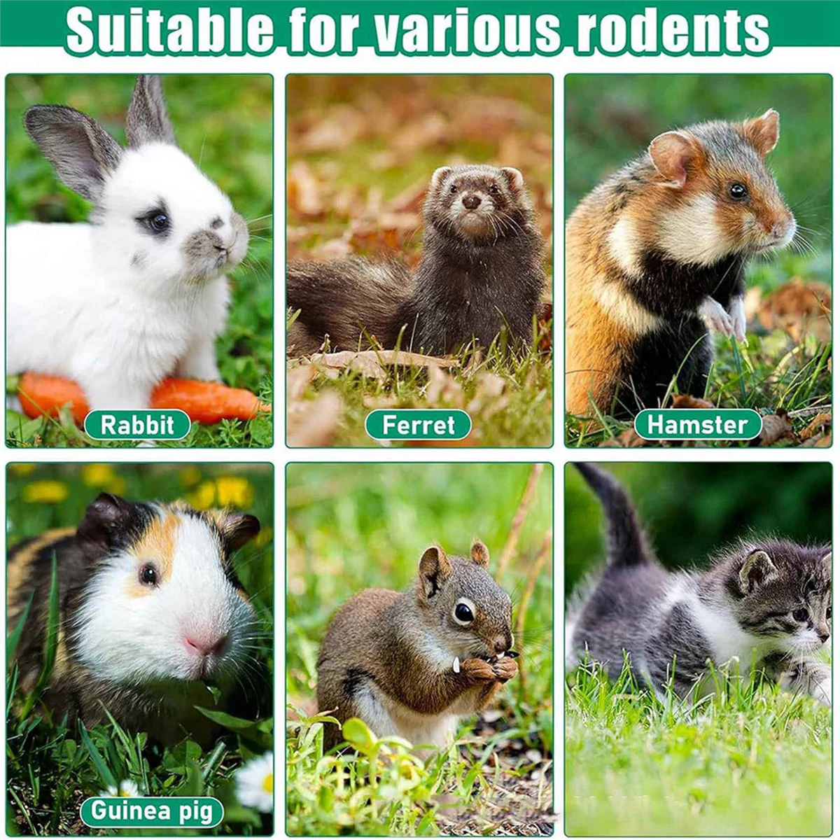 Бутылка для воды с подогревом бутылка без капель на 32 унции кроликов хомяков