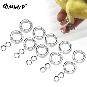 Parrot Foot Rings Metal Pet Bird Leg Rings Outdoor Fly Training Activity Anti-Lost Opening Clip Leash Accessories 0.45 To 1.15CM 1