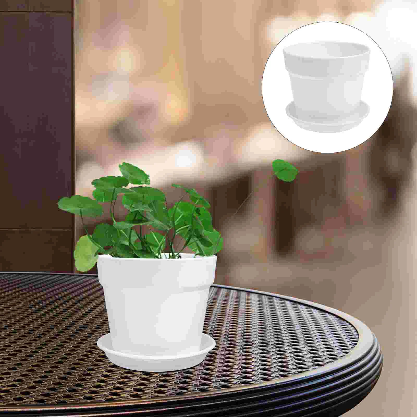 

Pots Flower Planterpot Succulent Small Bonsai Containerwith Miniplanters Nursery Garden Indoor Bowl Succulents Ceramic Vintage